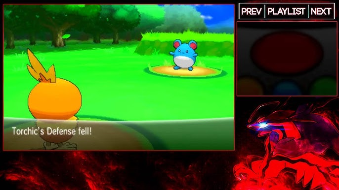 Exploring Route 22 in Pokémon Y: Challenges, Surprises, and How to Tackle Them