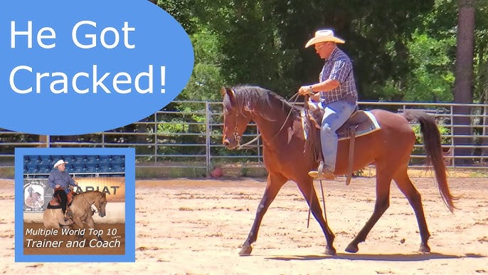 Everything You Need to Know About the RushOar Saddle: A Game-Changer or Just a Pain?