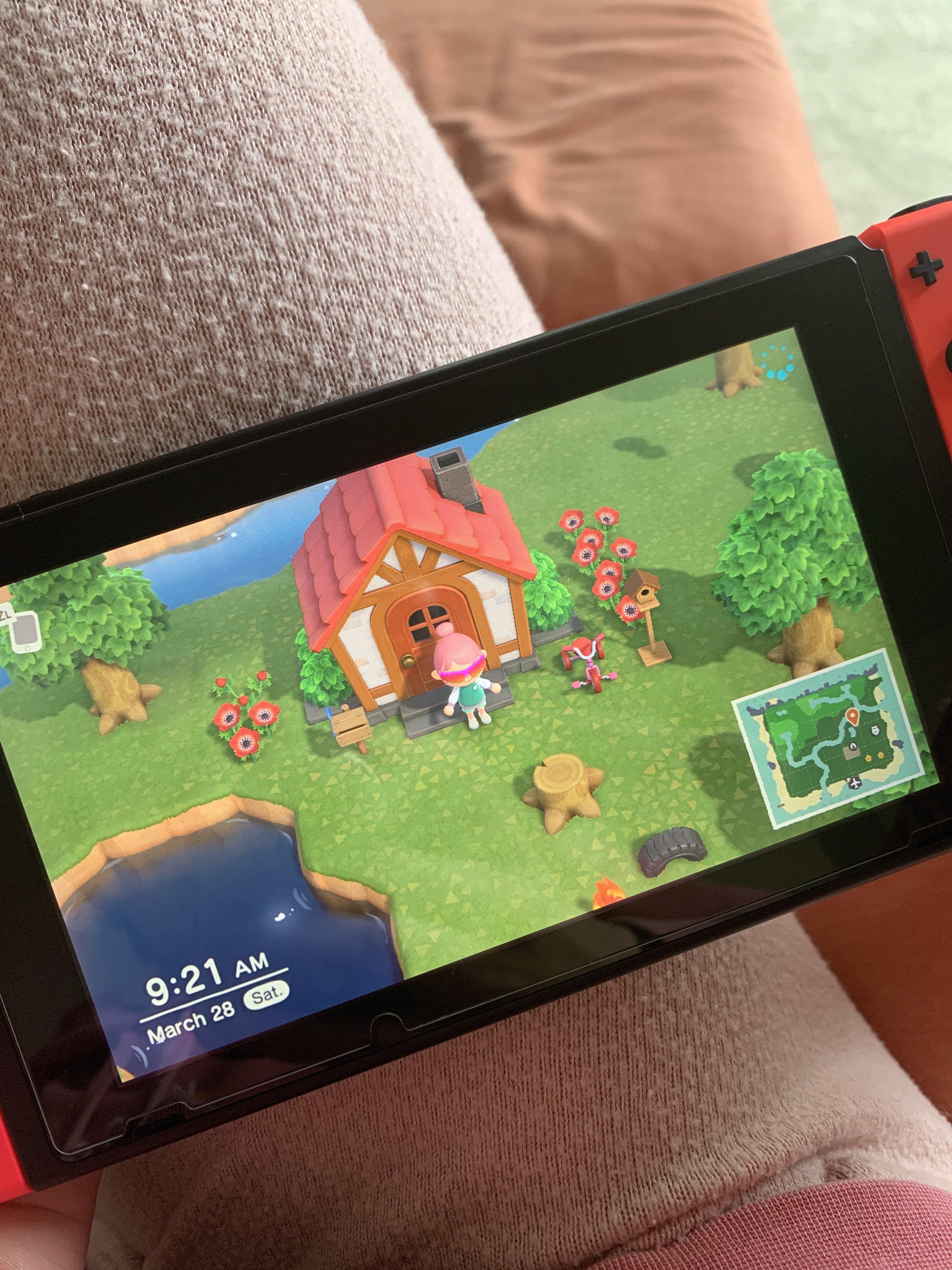Exploring the Mystery of the Pink Roof in Animal Crossing: A Charming Quirk or Unwanted Bug?