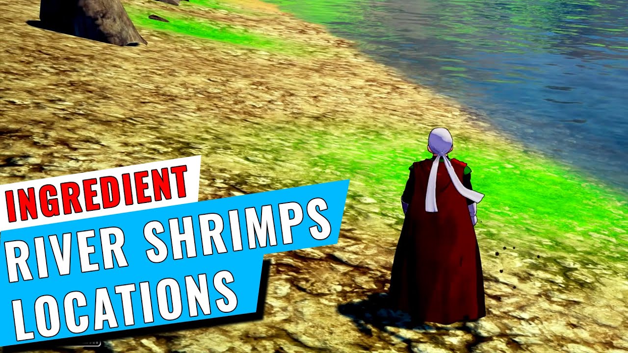 River Shrimp Kakarot: A Deep Dive into the Quirky Game Bug and How to Fix It