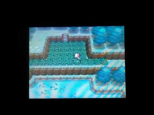 Mastering Pokemon White EV Training: A Fun and Practical Guide