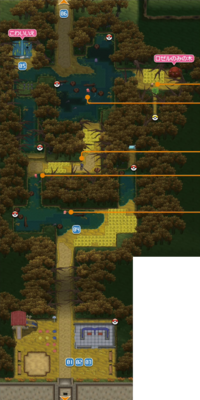 Route 14 XY: Navigating Through the Chaos of One of the Trickiest Spots in the Game