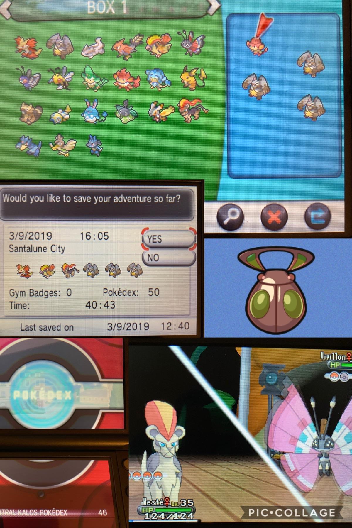 Pokemon X and Y Pokémon Breeder: Tips, Challenges, and Solutions