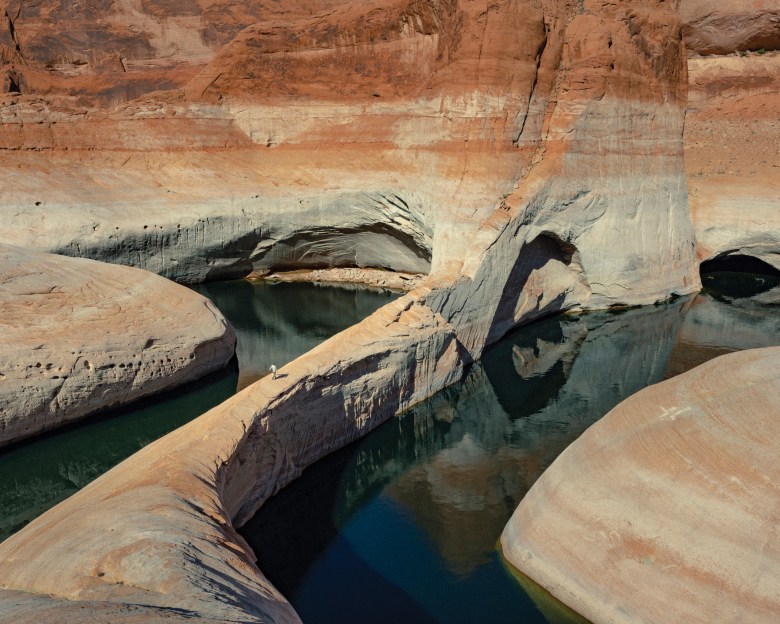 Exploring the Mysteries of Reed Canyon: Troubles, Tips, and Player Feedback