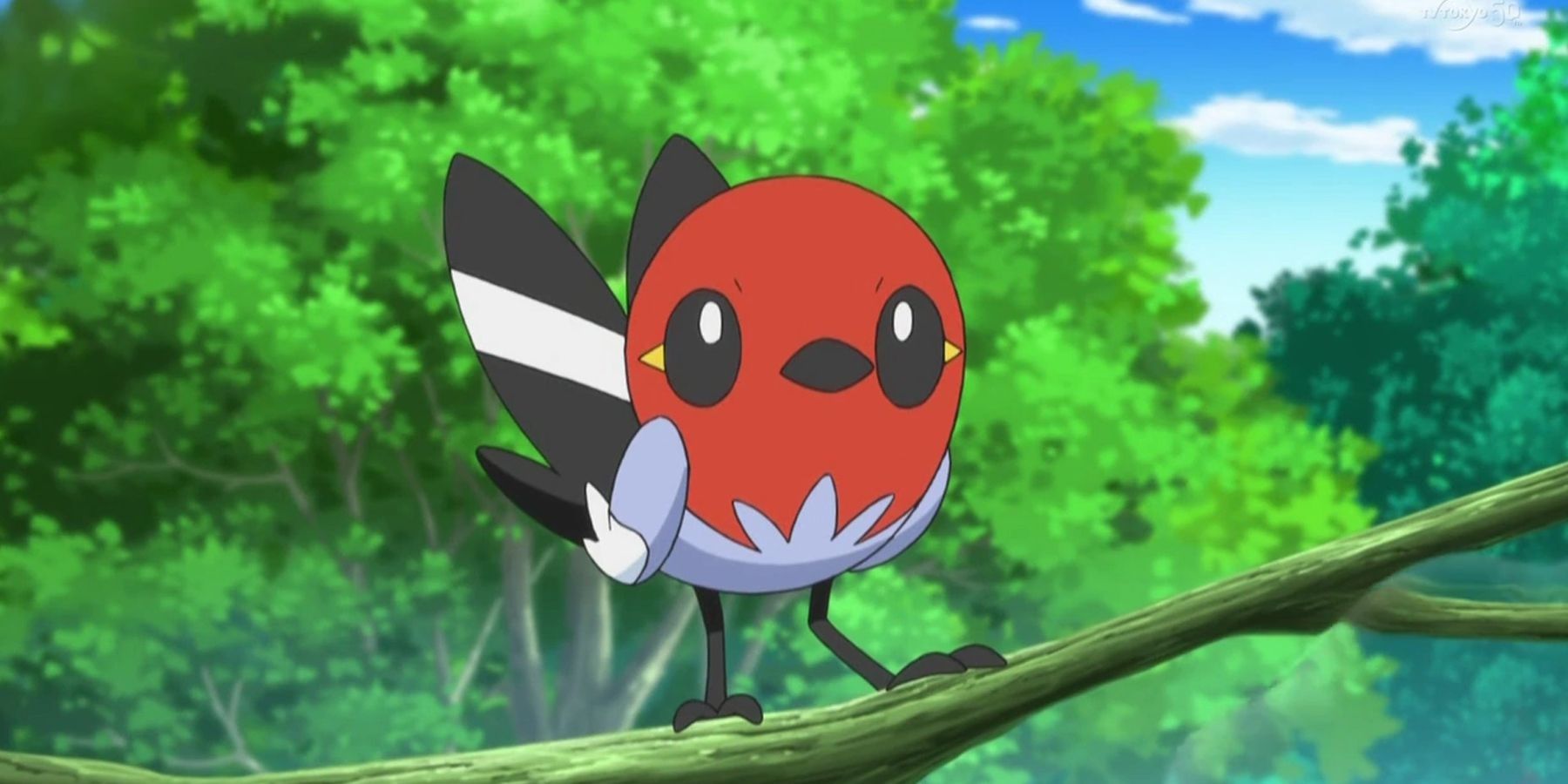 Route 1 Bird Pokémon: A Fan-Favorite, But Why Do We Love It So Much?