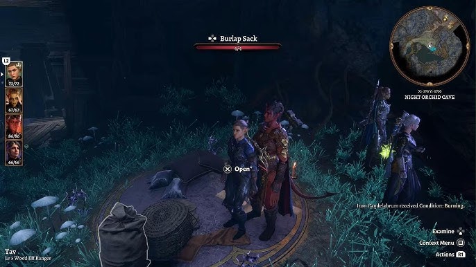 Night Orchid Cave: A Hidden Mystery in the Game World