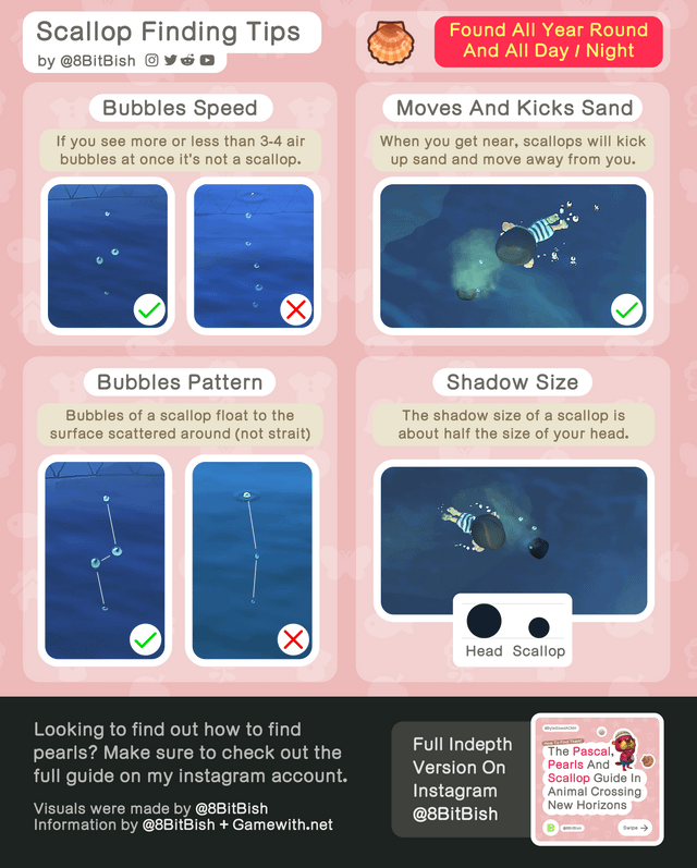 Scallop Animal Crossing: What You Need to Know About This Beachside Treasure