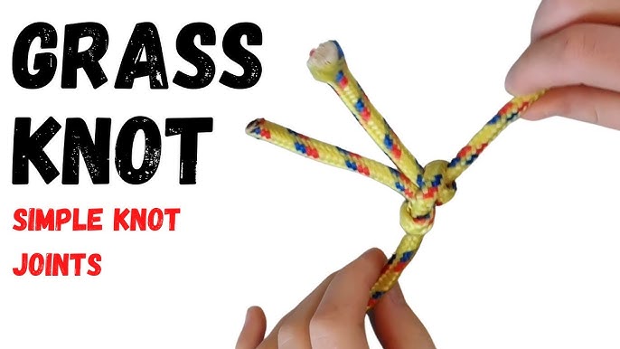 All About Gras Knot: How to Untangle This Game Issue and Get Back to the Fun