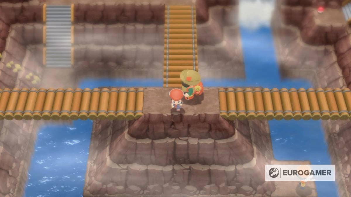 Exploring Route 208 in Brilliant Diamond: A Hidden Gem or Frustration Hub?