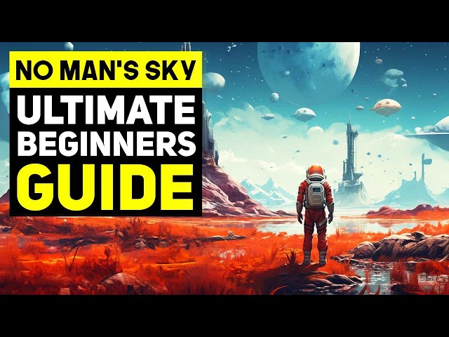 Everything You Need to Know About NMS Seed: A Beginner's Guide