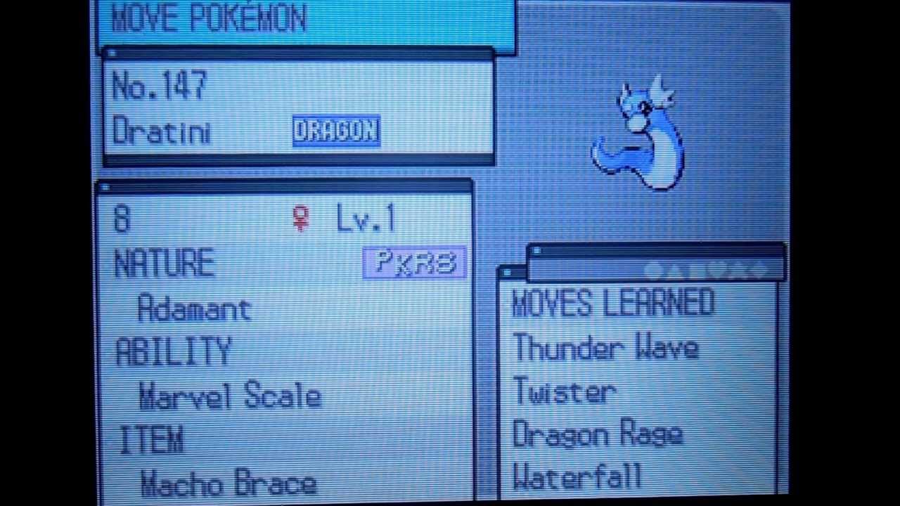 Mastering Pokemon White EV Training: A Fun and Practical Guide