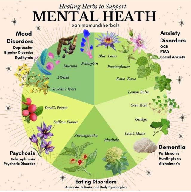 Mental Herb: How to Fix the Game Struggles and Enjoy the Journey