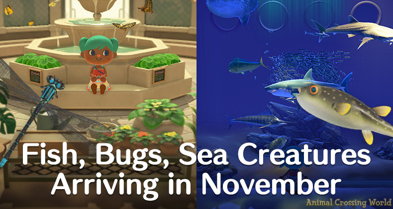 November Bugs and Fish ACNH: A Closer Look at the Seasonal Surprises