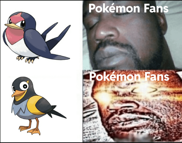 Route 1 Bird Pokémon: A Fan-Favorite, But Why Do We Love It So Much?