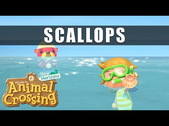 Scallop Animal Crossing: What You Need to Know About This Beachside Treasure