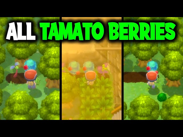Exploring Tamato Berry in Pokémon: A Sweet Boost for Your Battle Strategy