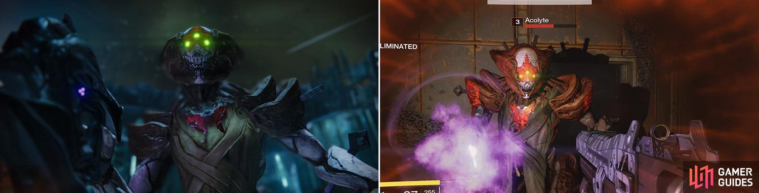 Understanding Hive Acolyte: Problems and Solutions for Gamers