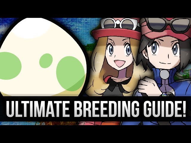 Exploring Pokémon X & Y Breeding: A Guide to Perfecting Your Pokémon Family