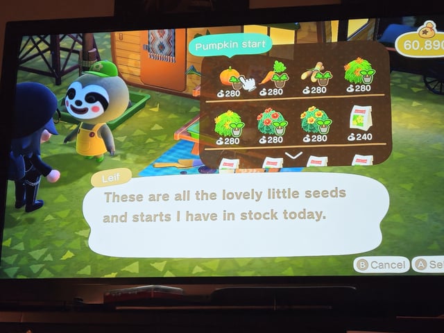 Holly Starts Animal Crossing: How to Enjoy the Game Without Getting Stuck