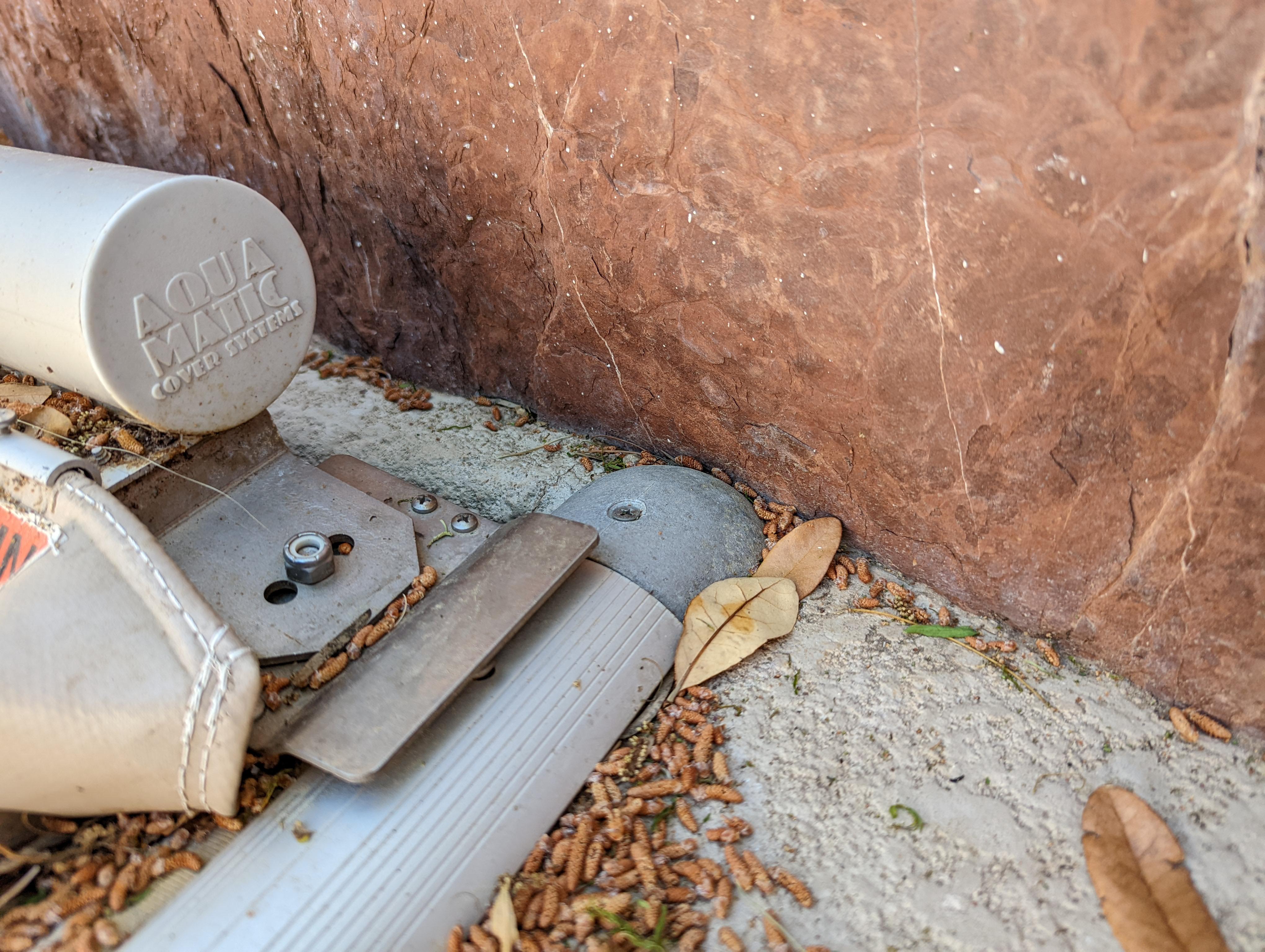 Mastering the Rock Carving Tool in Your Favorite Games: Tips, Tricks, and Players' Stories