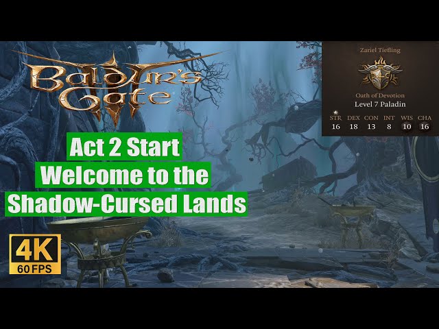 Sail Into the Darkness in BG3: How to Navigate the Shadows and Conquer the Unknown