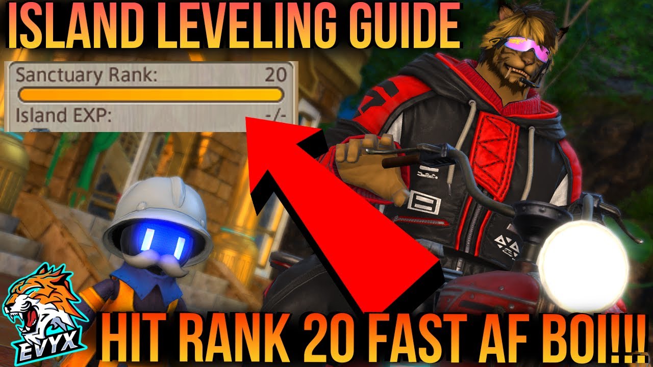 Island Sanctuary Leveling Guide