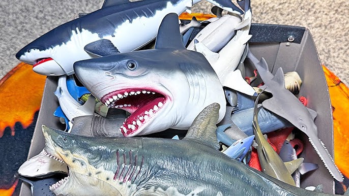 Shark Memorabilia: A Deep Dive into Collecting and Cherishing Shark-Themed Collectibles