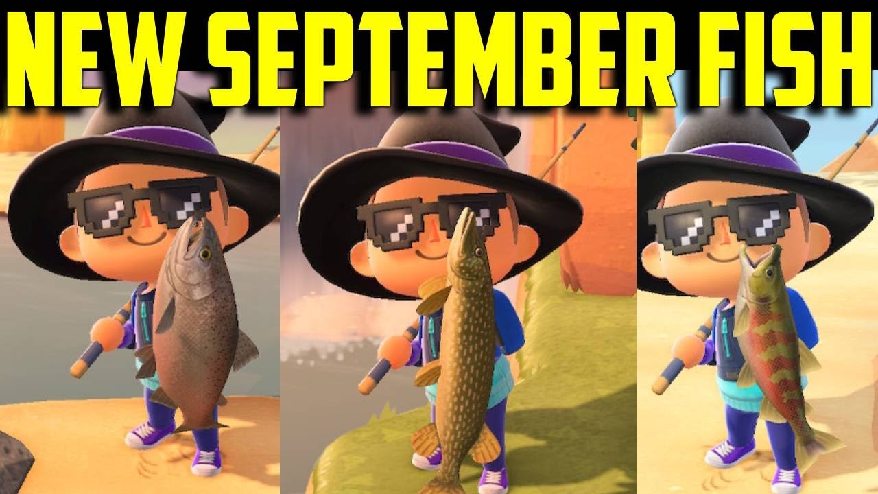 September Fish in ACNH: A Complete Guide to Catching and Enjoying Autumn's Bounty