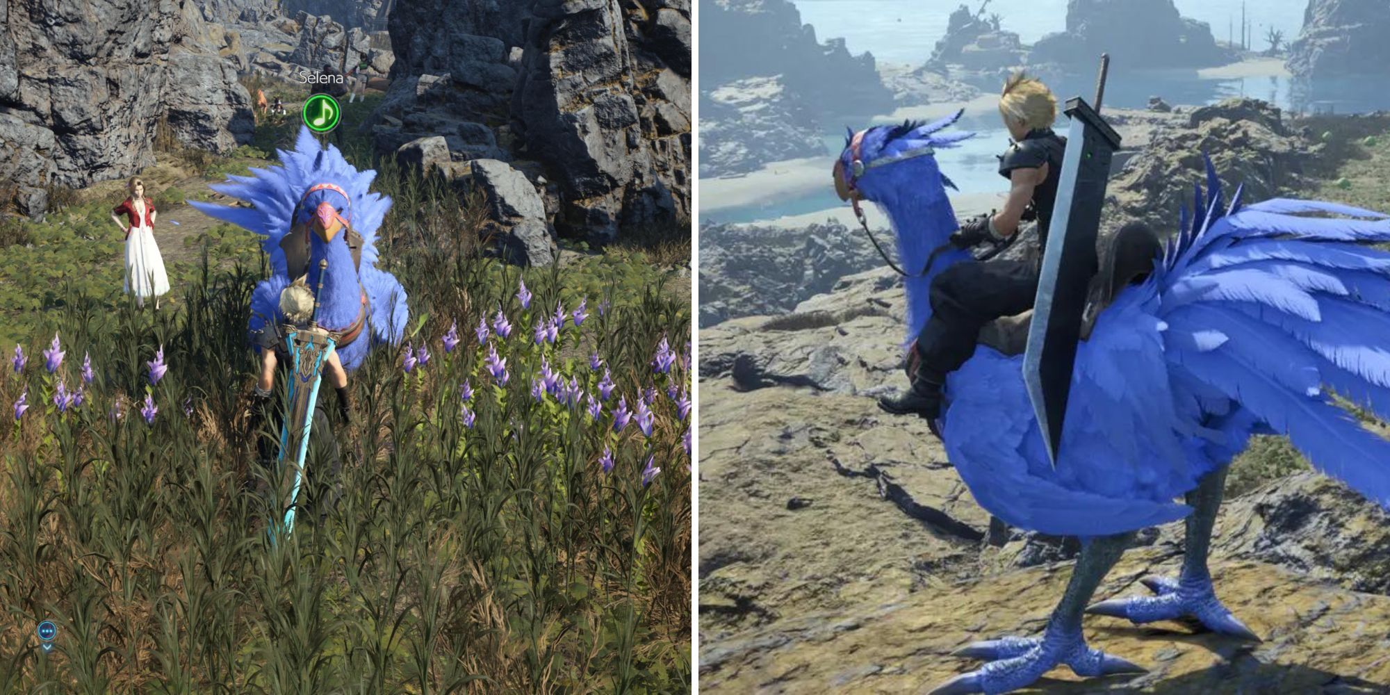 Nibel Chocobo: A Mysterious Challenge in Gaming World