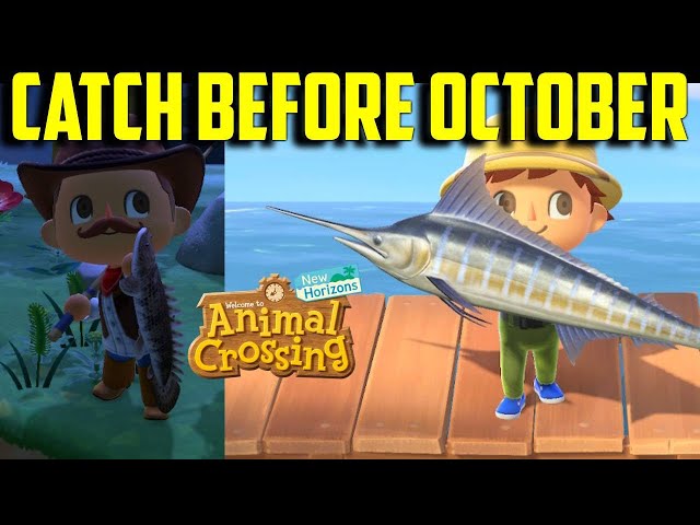 September Fish in ACNH: A Complete Guide to Catching and Enjoying Autumn's Bounty