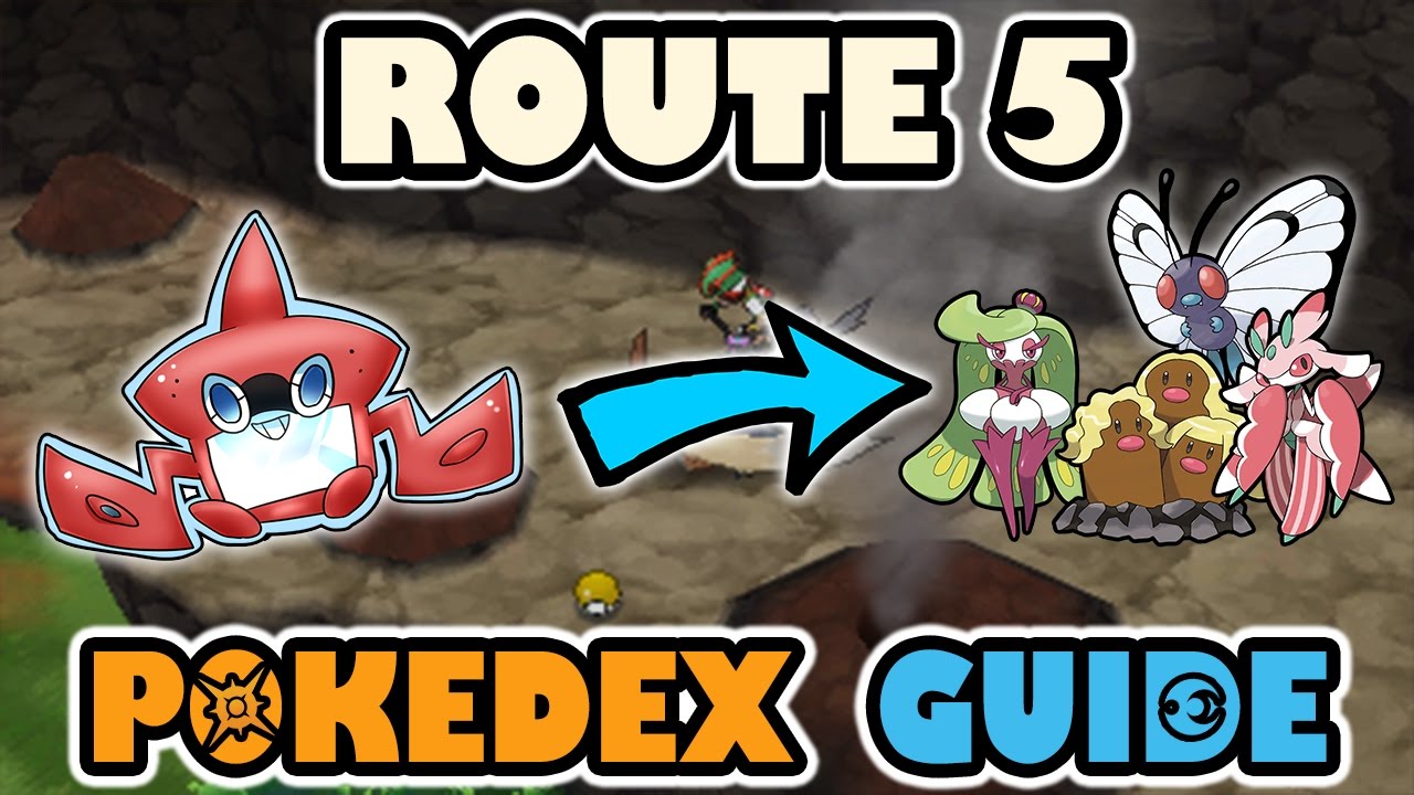 Exploring Route 5 in Pokémon Sun: Secrets, Struggles, and Surprises