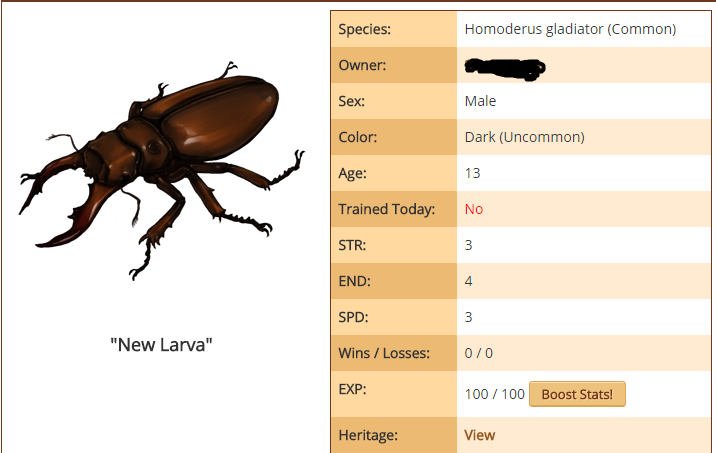 How to Catch a Beetle: A Complete Guide for Players