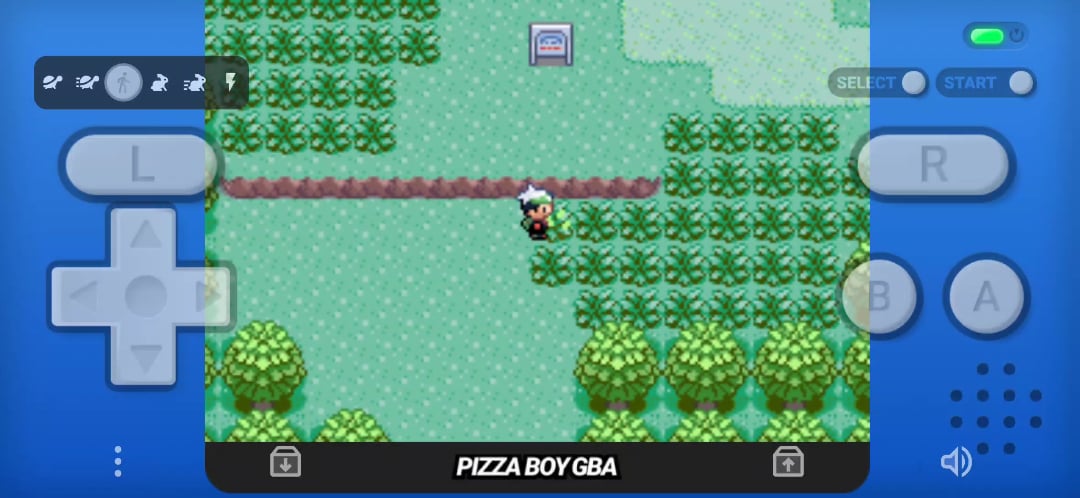 Exploring Pokémon Emerald Route 103: Challenges, Fun, and Solutions