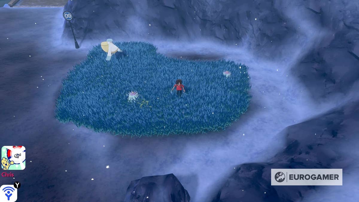 Route 9 Galar: A Scenic Journey with Hidden Surprises