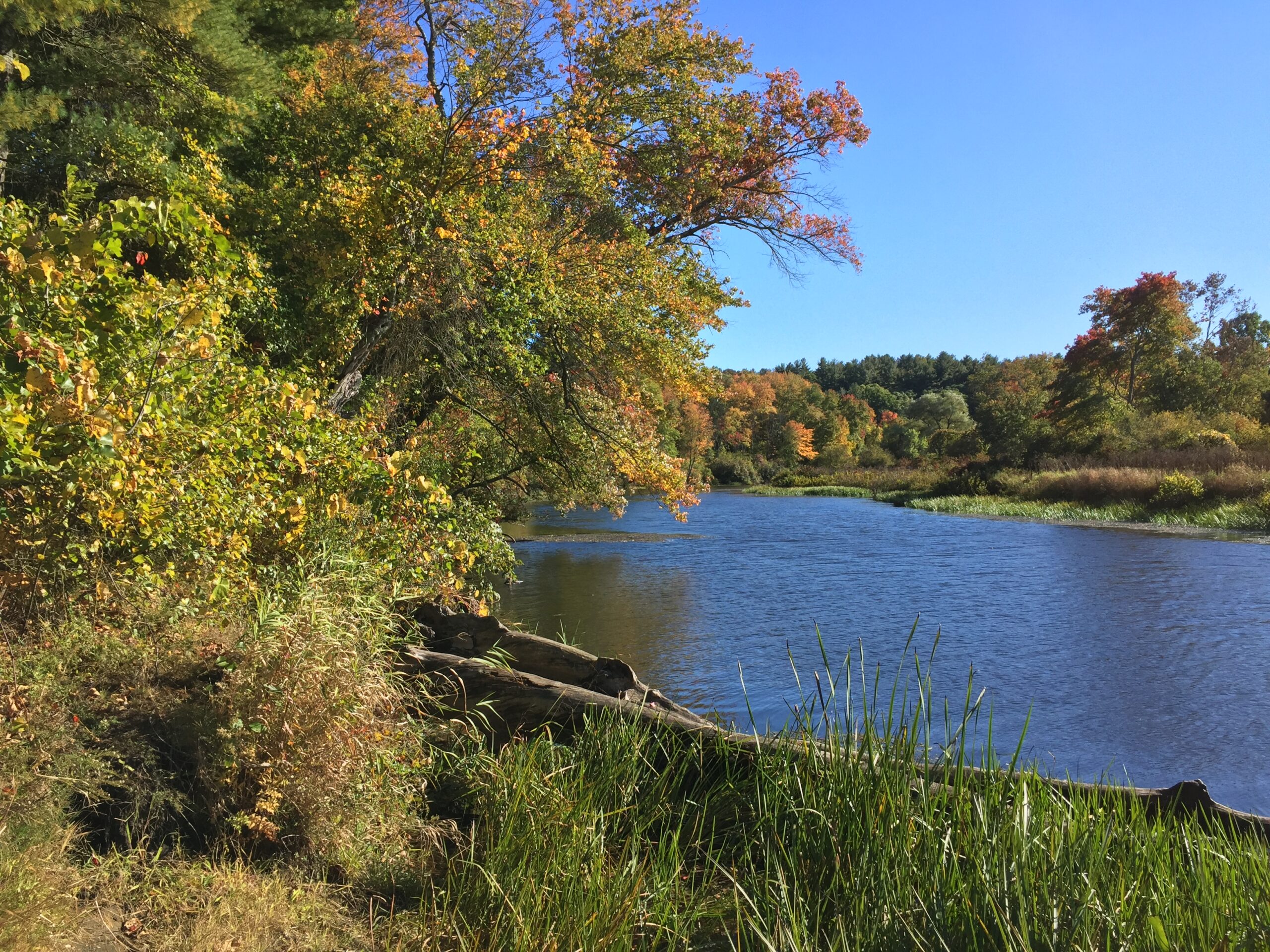 Exploring Rocky Narrows Sherborn: A Hidden Gem in the Gaming World