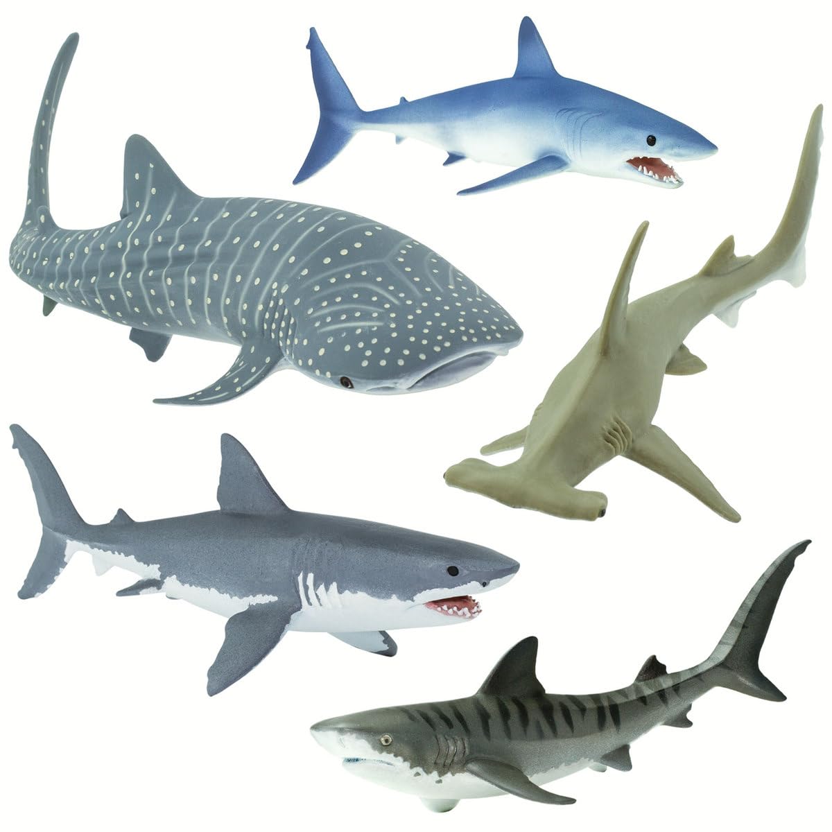 Shark Memorabilia: A Deep Dive into Collecting and Cherishing Shark-Themed Collectibles