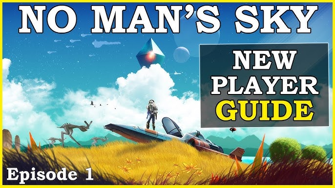 Everything You Need to Know About NMS Seed: A Beginner's Guide