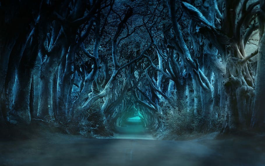 Realms of Despair MUD Discord: Navigating the Nexus of Classic Gaming and Community