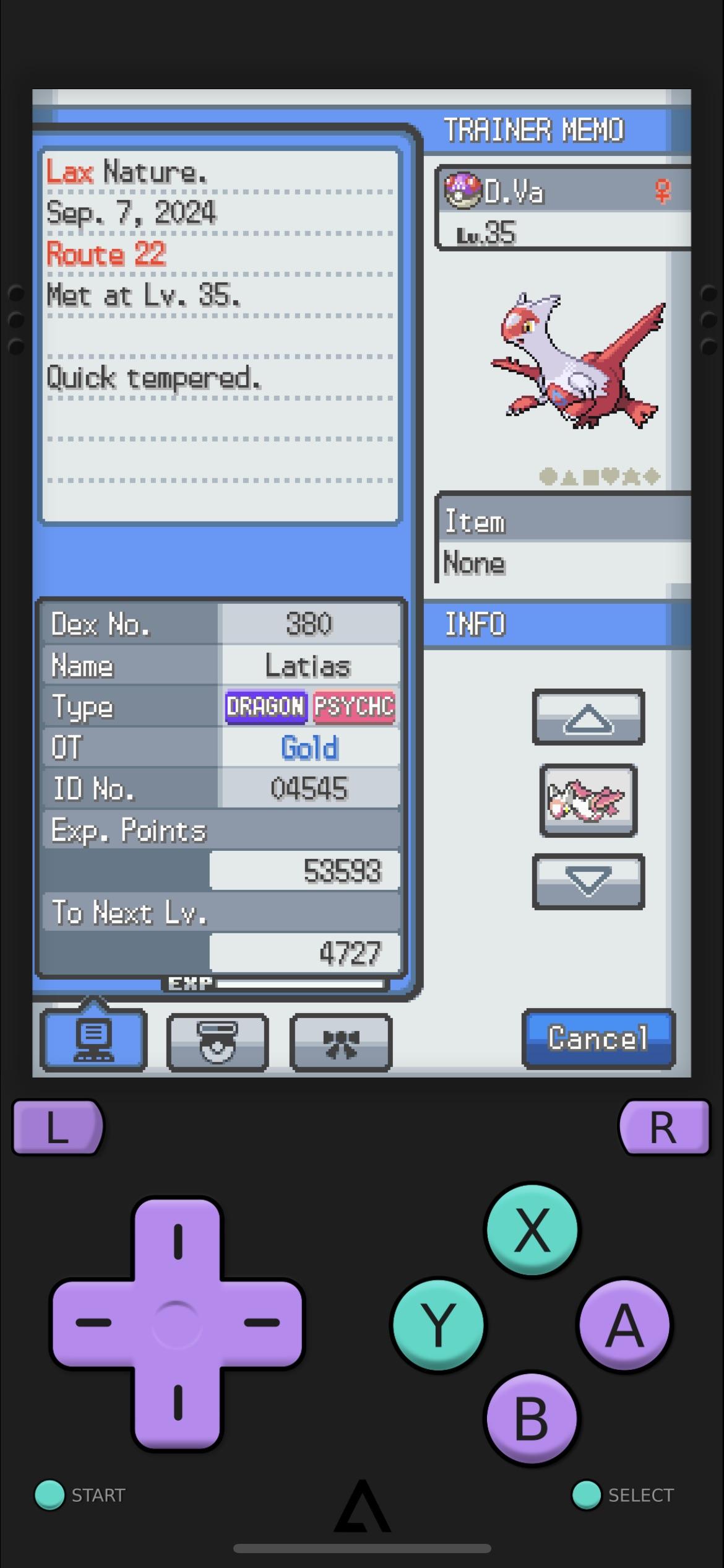 Exploring Route 22 in Pokémon Y: Challenges, Surprises, and How to Tackle Them