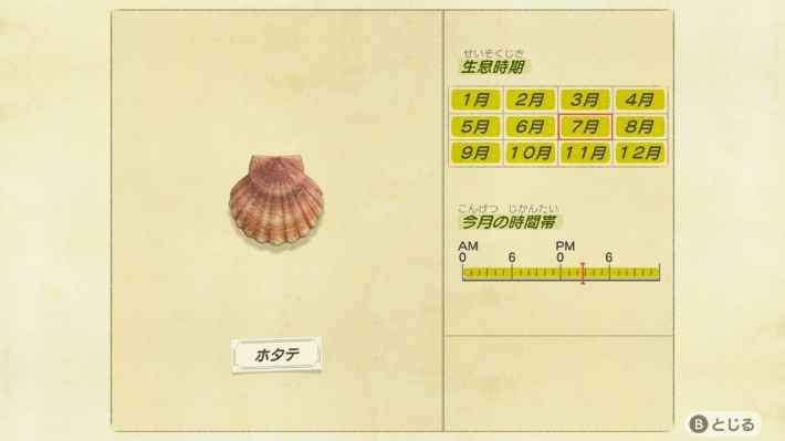 Scallop Animal Crossing: What You Need to Know About This Beachside Treasure