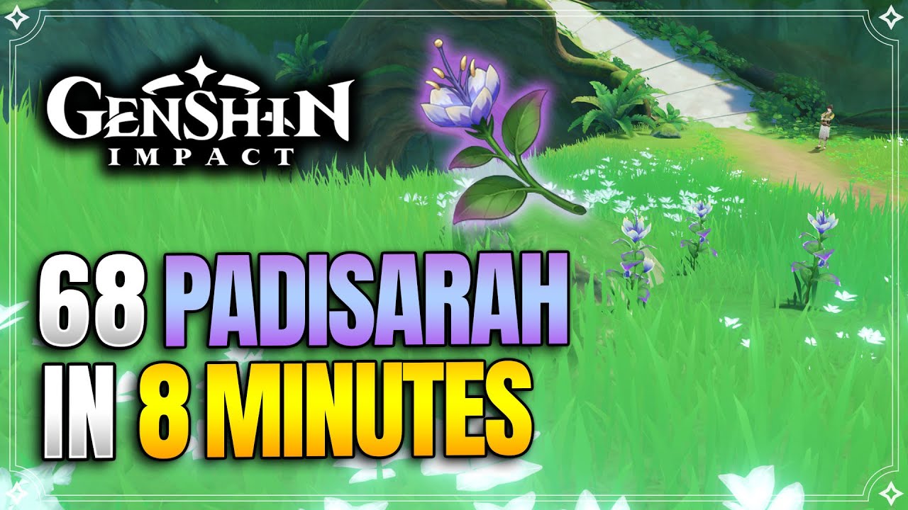 Mastering the Padisarah Farming Route: Tips and Tricks for Efficient Farming