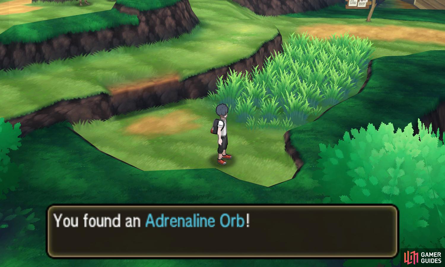 Exploring Route 4 in Pokémon Ultra Sun: Challenges, Tips, and Community Feedback