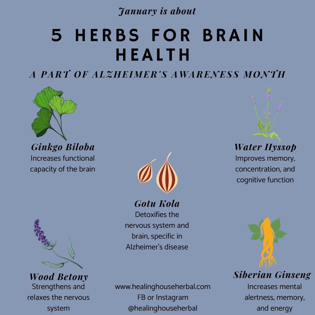 Mental Herb: How to Fix the Game Struggles and Enjoy the Journey