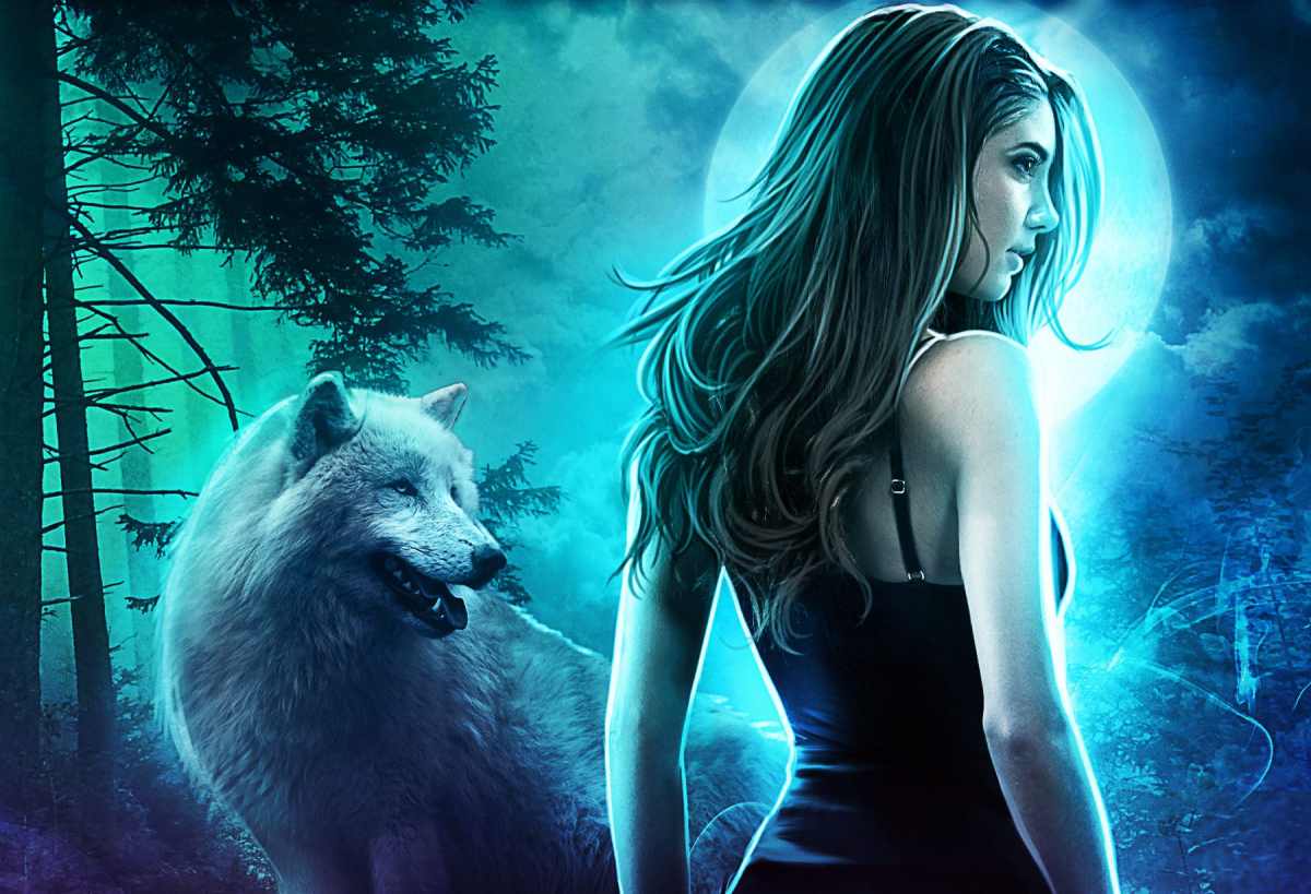 Lost Wolf: The Mystery of the Missing Game Character