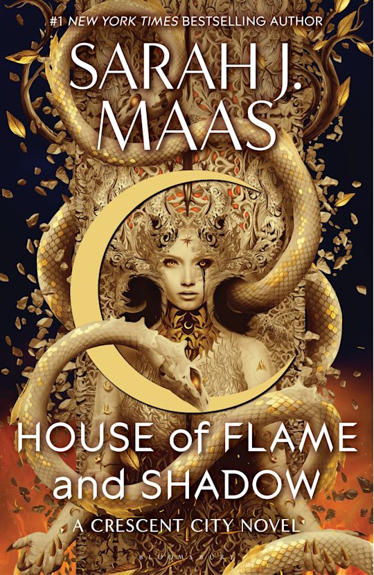 House of Flame and Shadow Prologue: A New Adventure with Some Challenges