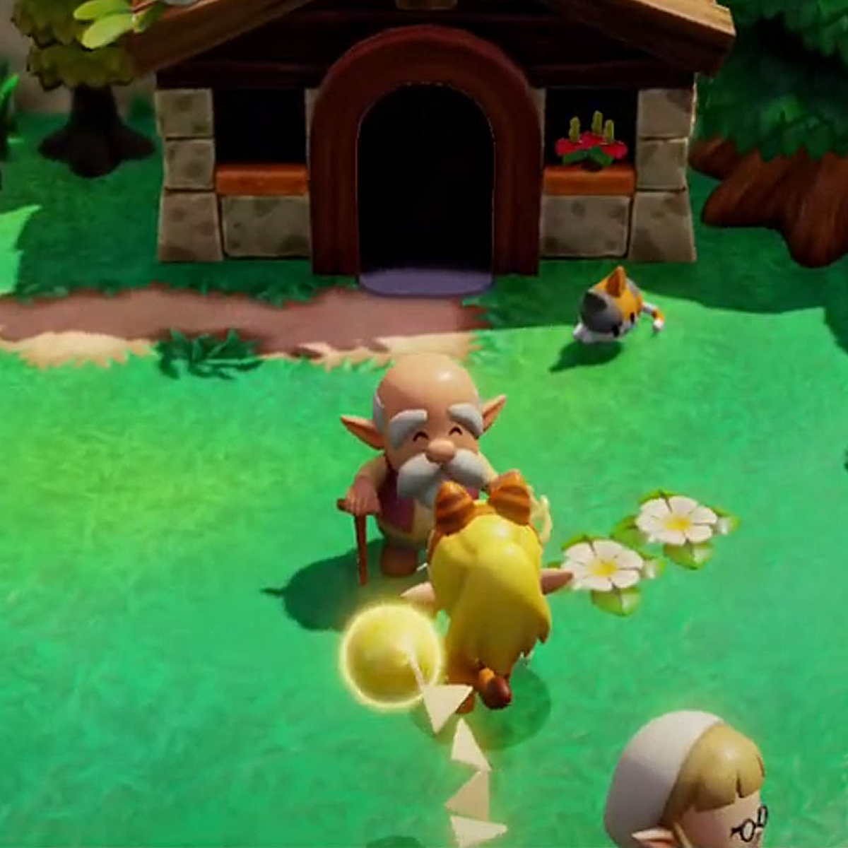 Questioning the Local Cats: Echoes of Wisdom in Gaming