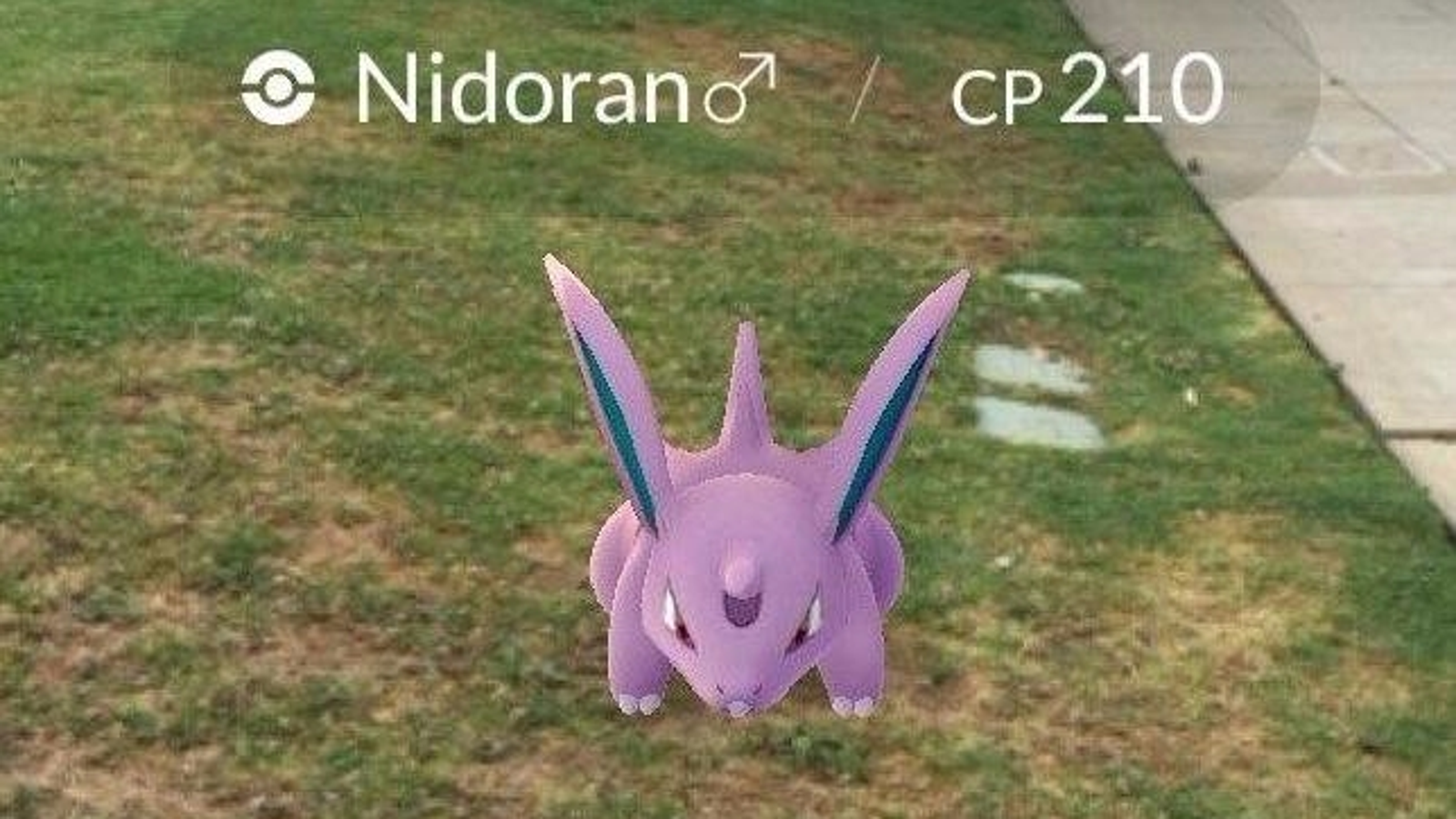 Exploring the World of Pokémon Spawning Maps: A Gamer's Guide to Catch 'Em All!