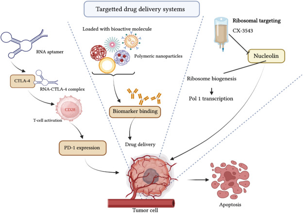 Understanding Staunching Bolus: Key Insights and Practical Applications