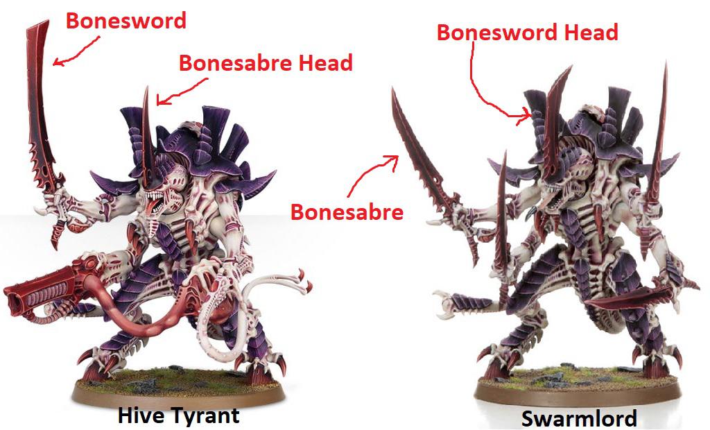 Hive Tyrant Size: Why It Matters and What You Need to Know