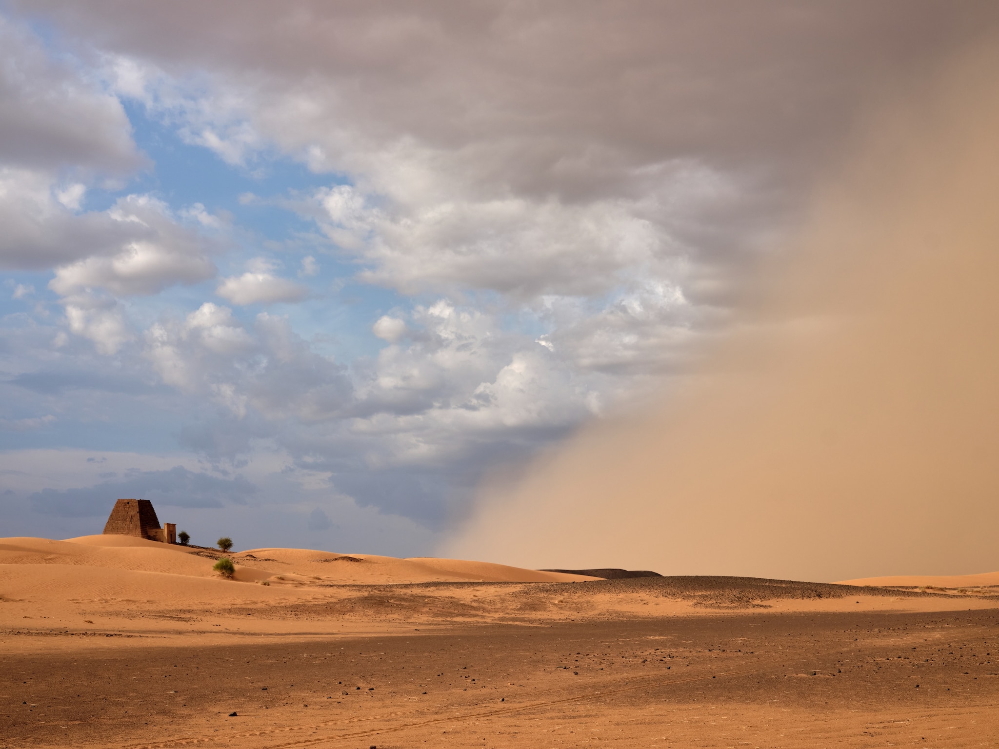 Unveiling the Dust: Solving Common Issues in "Sandstorm Trek"